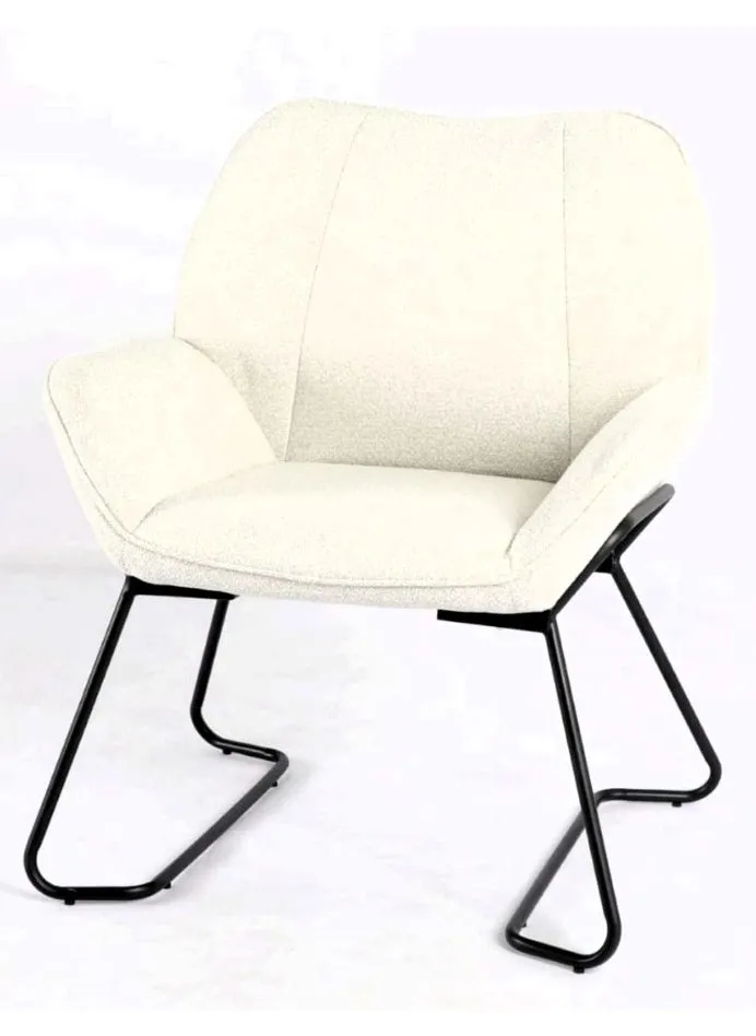 Dining Chair with elegant design-1