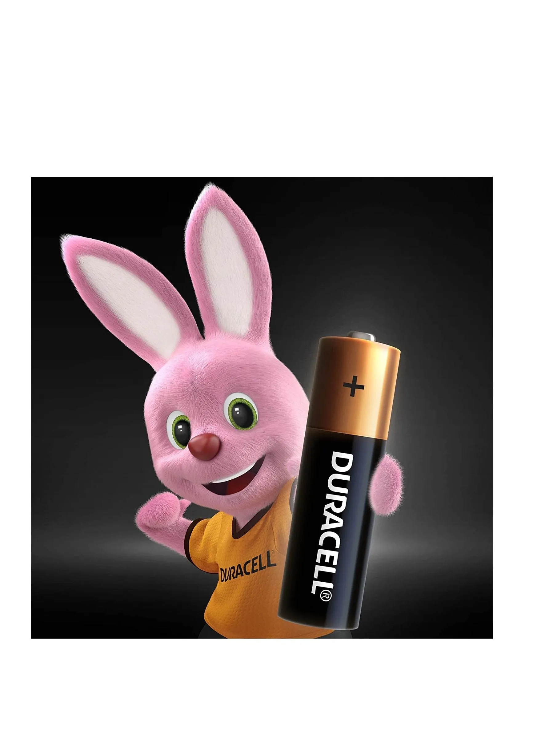 Duracell - AAA 1.5V Alkaline LR03 / MN2400 بطاريات طويلة الأمد - عبوة من 20 إلى 10 سنوات من الصلاحية-2