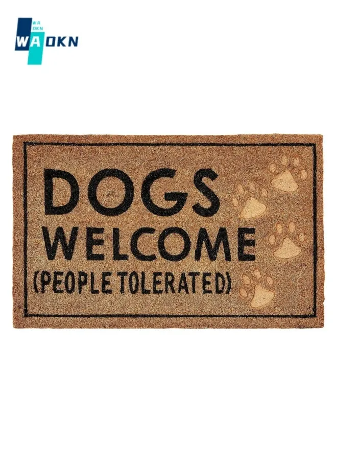 Welcome Doormat, Rectangular Polyester Carpet Letter Printed Doormat Outdoor Anti Slip Absorbent Floor Mat Entrance Foot Mat for Terrace, Home, Classroom, 50cm x 80cm-1